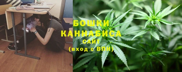 хмурый Балабаново