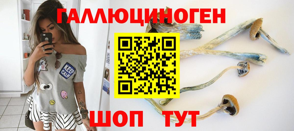 Коммунар  Галлюциногенные грибы MAGIC MUSHROOMS  Галлюциногенные грибы MAGIC MUSHROOMS  Вход с VPN 